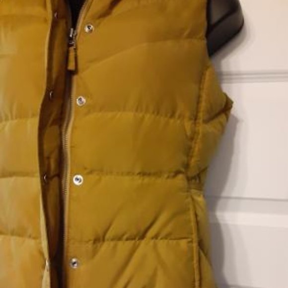 Winter Wonderland with  Outerwear J Crew Vest - Picture 5 of 7